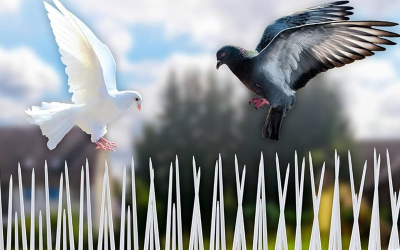 Awesome Image